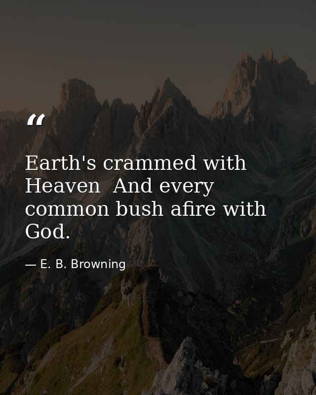 Earth's crammed with Heaven  And every common bush afire with God. — E. B. Browning