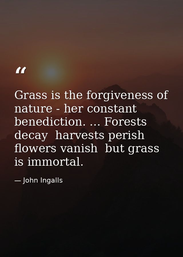 Grass is the forgiveness of nature - her constant benediction. ... Forests decay  harvests perish  flowers vanish  but g — John Ingalls