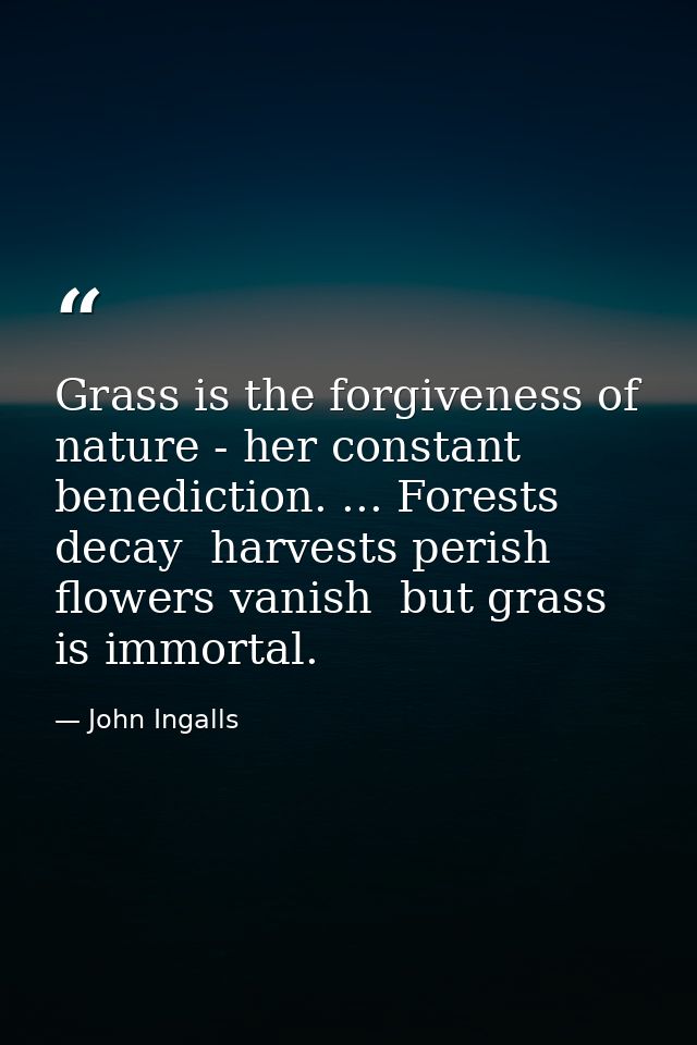 Grass is the forgiveness of nature - her constant benediction. ... Forests decay  harvests perish  flowers vanish  but g — John Ingalls