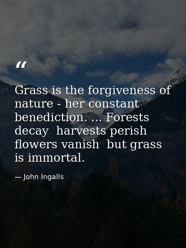 Grass is the forgiveness of nature - her constant benediction. ... Forests decay  harvests perish  flowers vanish  but g — John Ingalls