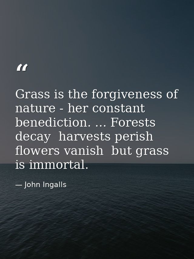Grass is the forgiveness of nature - her constant benediction. ... Forests decay  harvests perish  flowers vanish  but g — John Ingalls