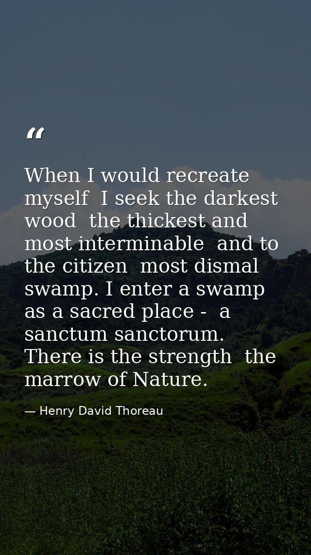 When I would recreate myself  I seek the darkest wood  the thickest and most interminable  and to the citizen  most dism — Henry David Thoreau