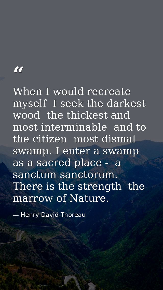 When I would recreate myself  I seek the darkest wood  the thickest and most interminable  and to the citizen  most dism — Henry David Thoreau