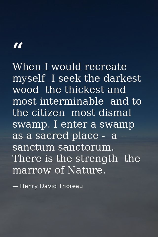 When I would recreate myself  I seek the darkest wood  the thickest and most interminable  and to the citizen  most dism — Henry David Thoreau