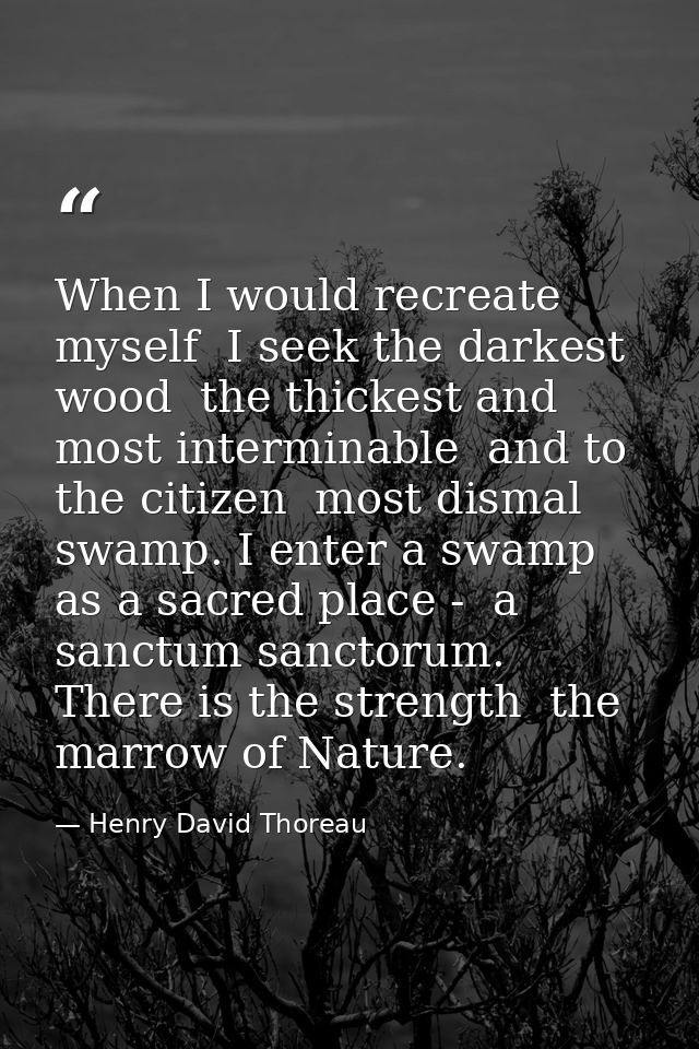 When I would recreate myself  I seek the darkest wood  the thickest and most interminable  and to the citizen  most dism — Henry David Thoreau