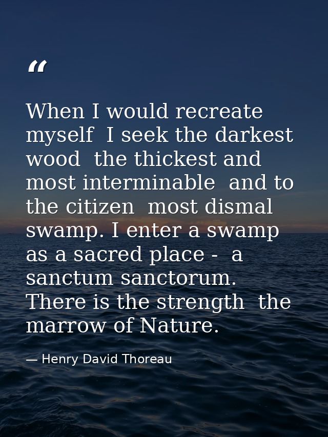 When I would recreate myself  I seek the darkest wood  the thickest and most interminable  and to the citizen  most dism — Henry David Thoreau