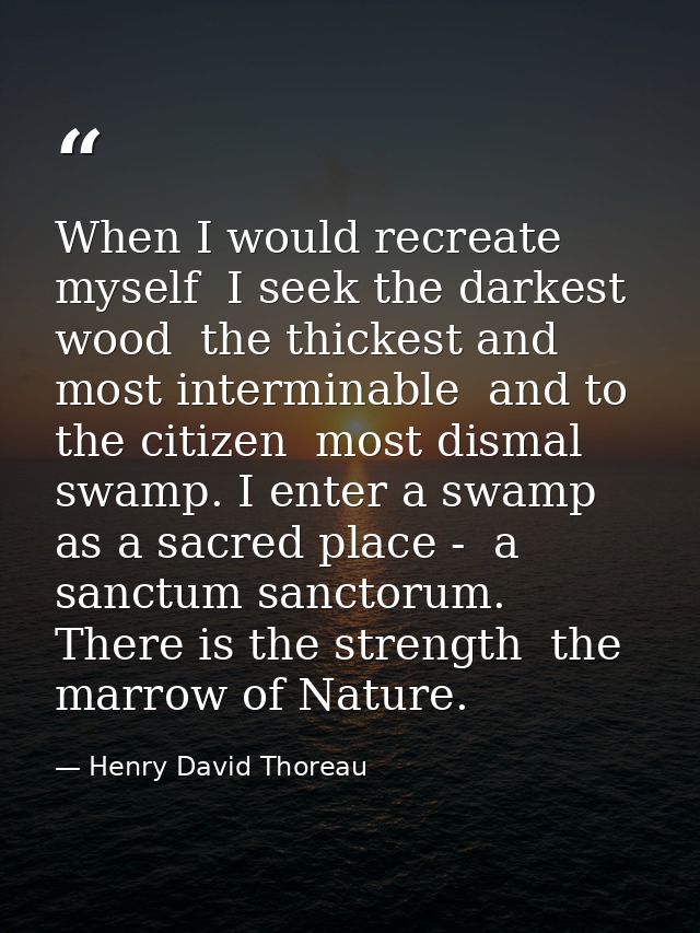 When I would recreate myself  I seek the darkest wood  the thickest and most interminable  and to the citizen  most dism — Henry David Thoreau