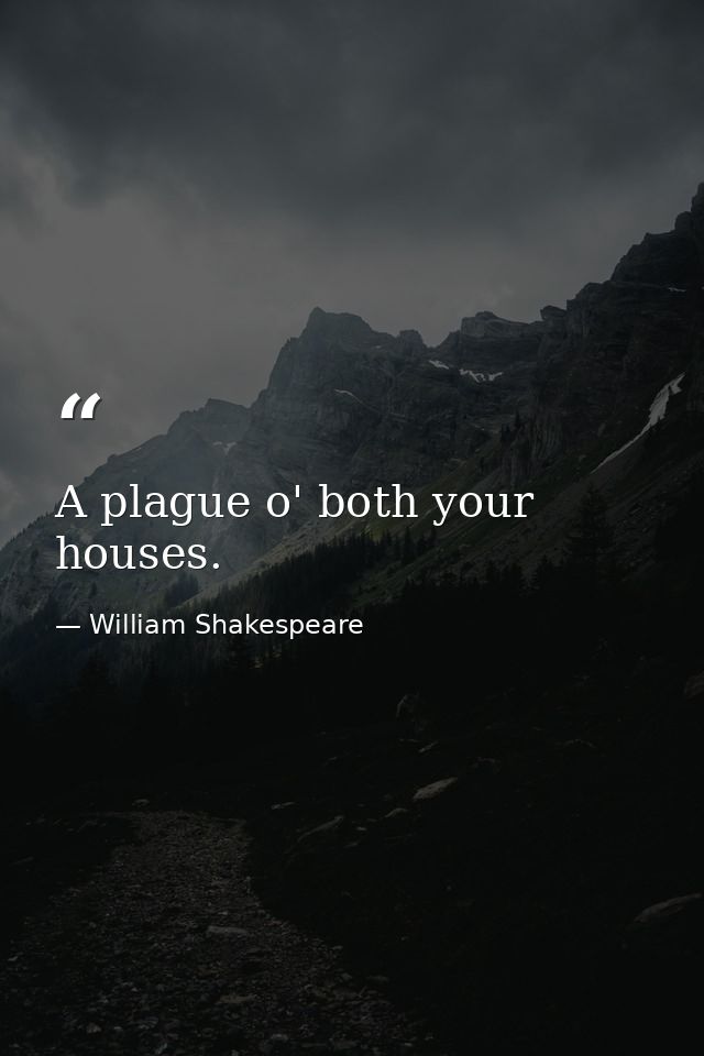 A plague o' both your houses. — William Shakespeare
