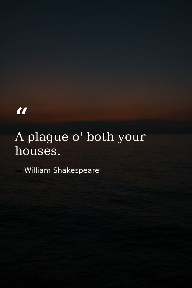 A plague o' both your houses. — William Shakespeare