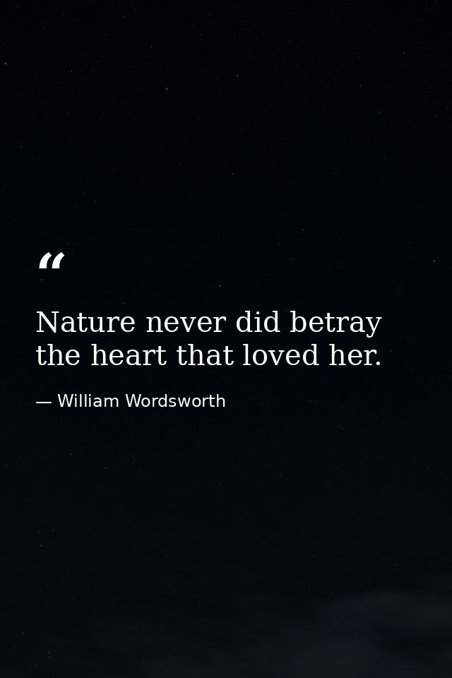 Nature never did betray the heart that loved her. — William Wordsworth