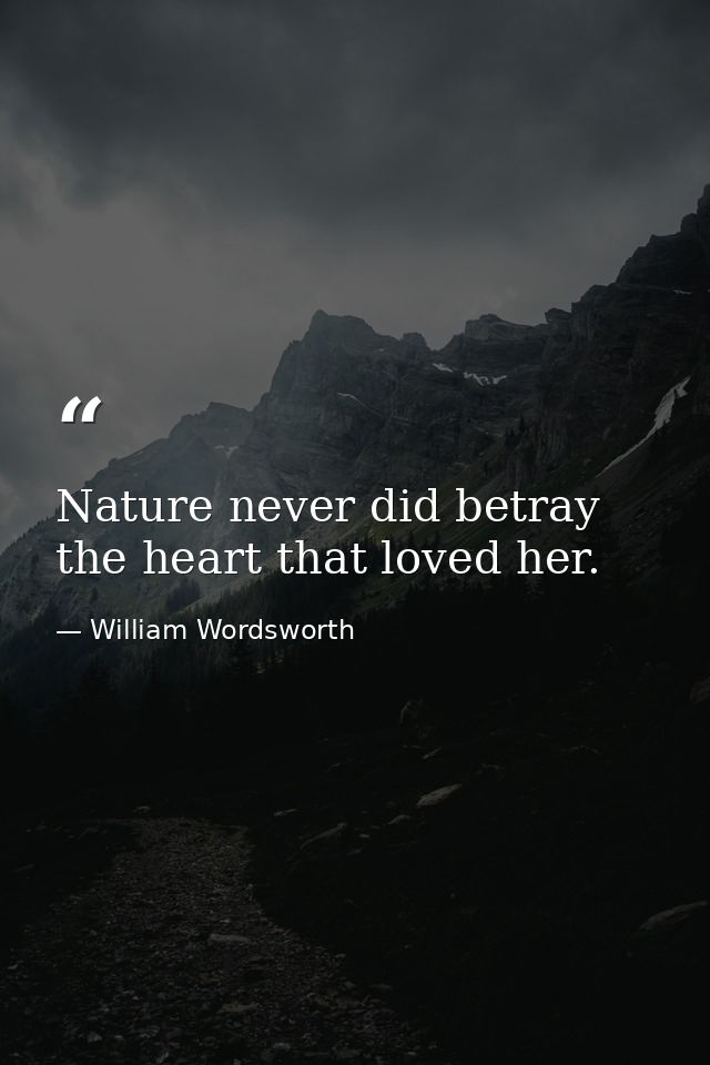 Nature never did betray the heart that loved her. — William Wordsworth