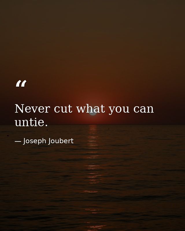 Never cut what you can untie. — Joseph Joubert