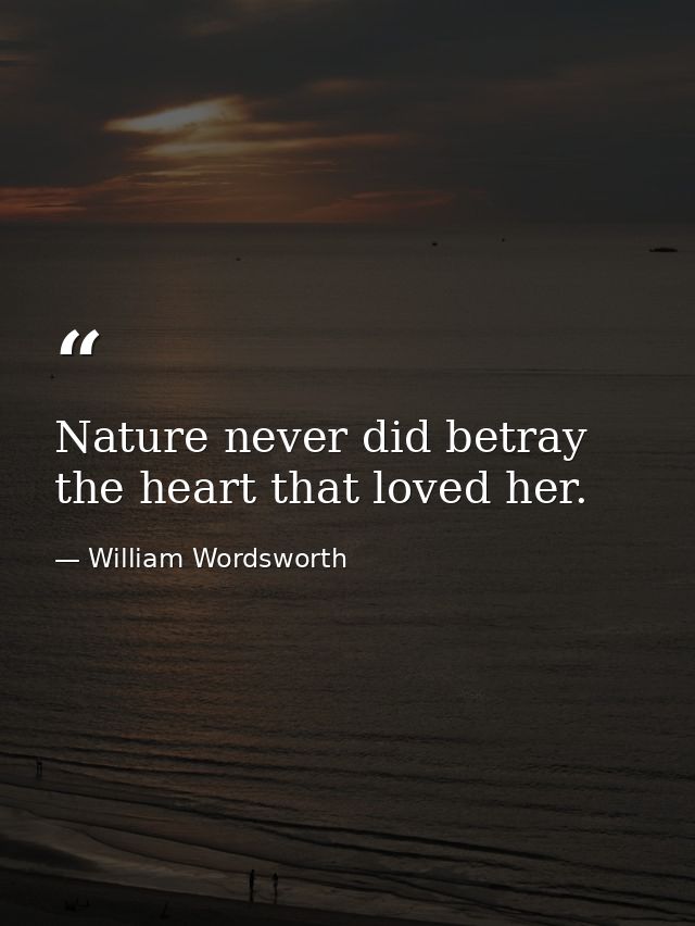Nature never did betray the heart that loved her. — William Wordsworth
