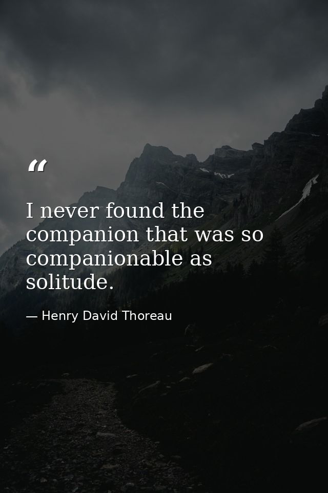 I never found the companion that was so companionable as solitude. — Henry David Thoreau