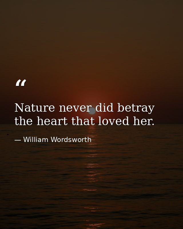 Nature never did betray the heart that loved her. — William Wordsworth
