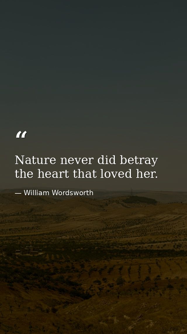 Nature never did betray the heart that loved her. — William Wordsworth