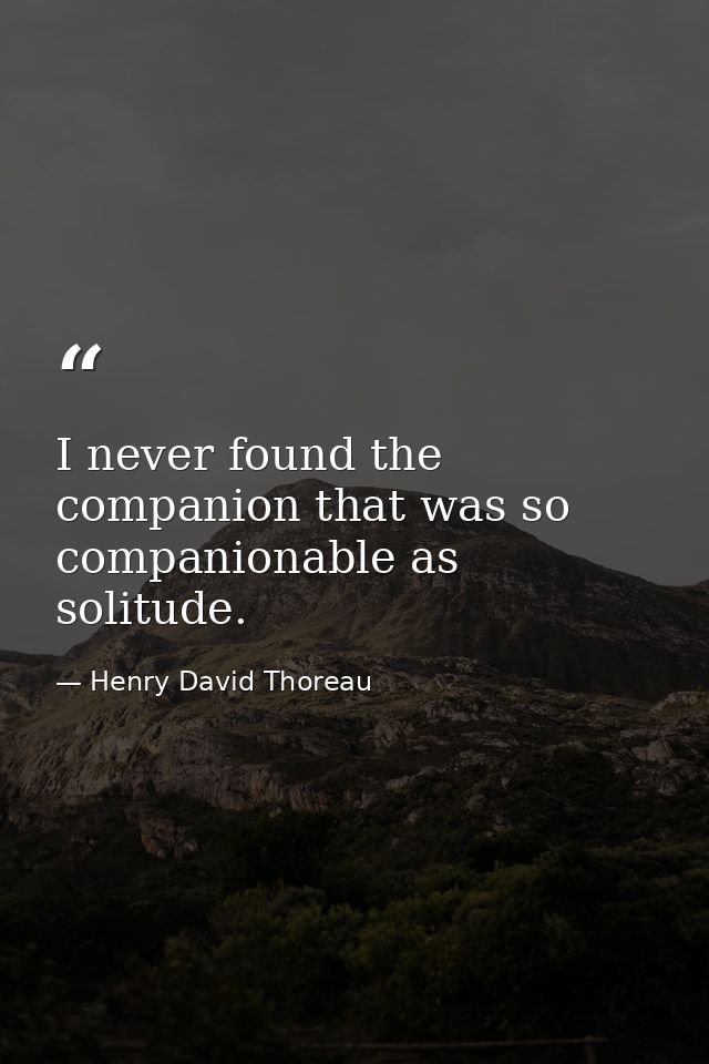 I never found the companion that was so companionable as solitude. — Henry David Thoreau