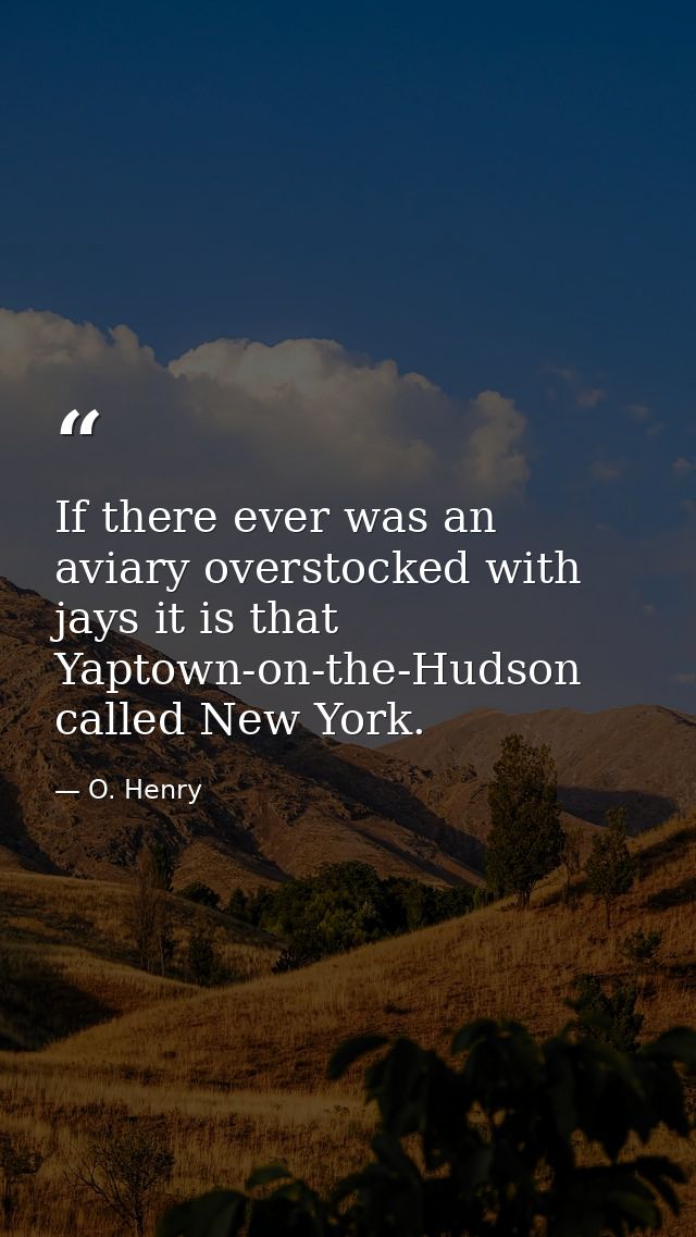 If there ever was an aviary overstocked with jays it is that Yaptown-on-the-Hudson  called New York. — O. Henry