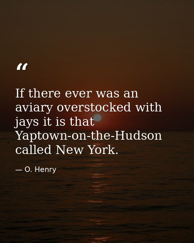If there ever was an aviary overstocked with jays it is that Yaptown-on-the-Hudson  called New York. — O. Henry