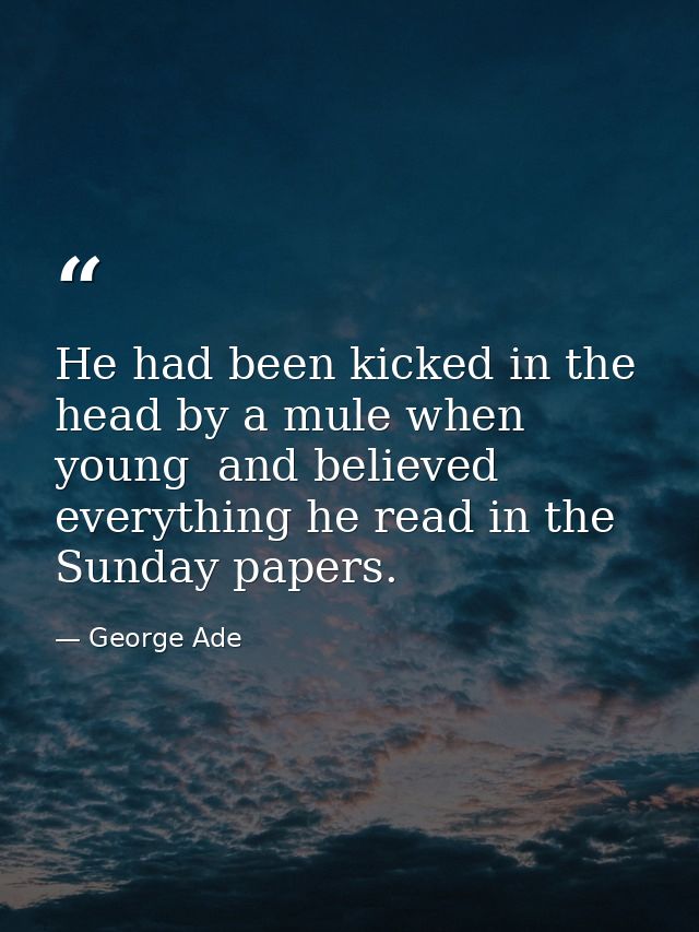 He had been kicked in the head by a mule when young  and believed everything he read in the Sunday papers. — George Ade