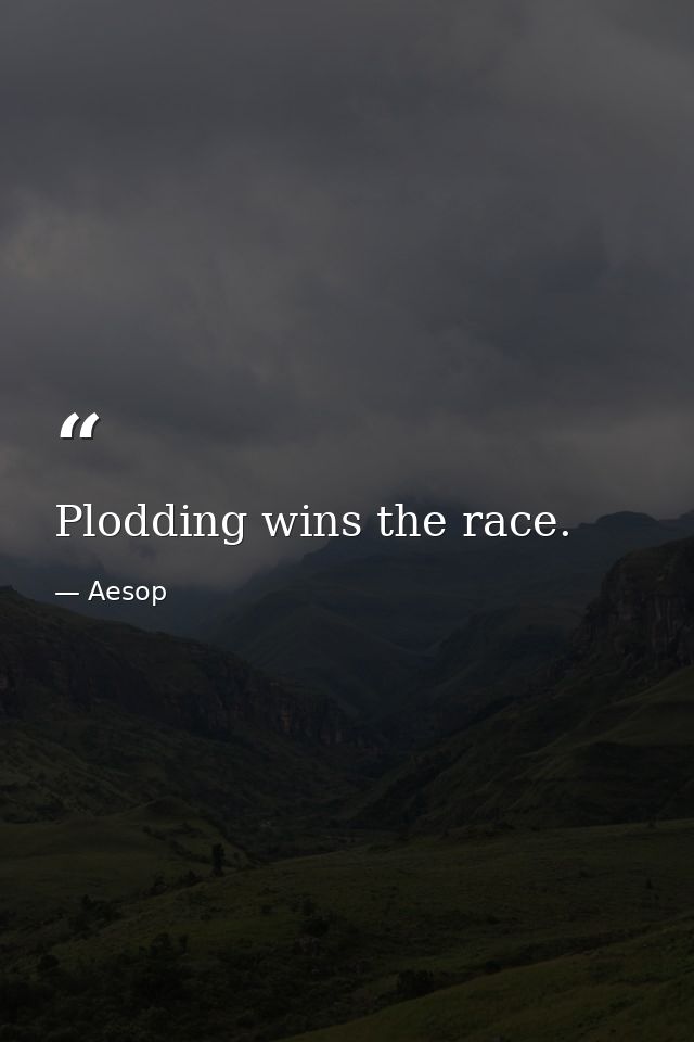 Plodding wins the race. — Aesop
