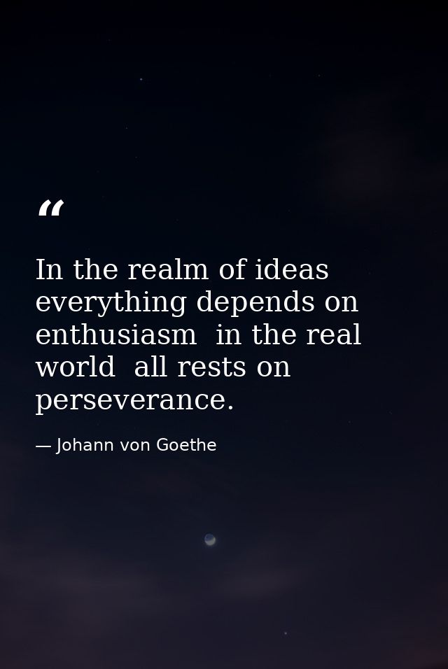 In the realm of ideas  everything depends on enthusiasm  in the real world  all rests on perseverance. — Johann von Goethe