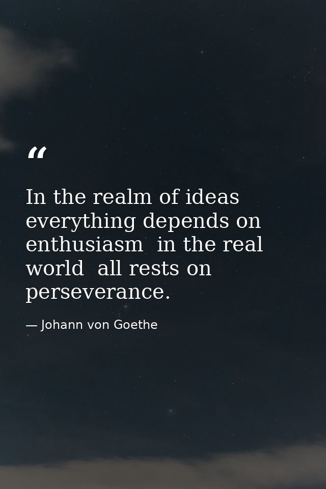 In the realm of ideas  everything depends on enthusiasm  in the real world  all rests on perseverance. — Johann von Goethe