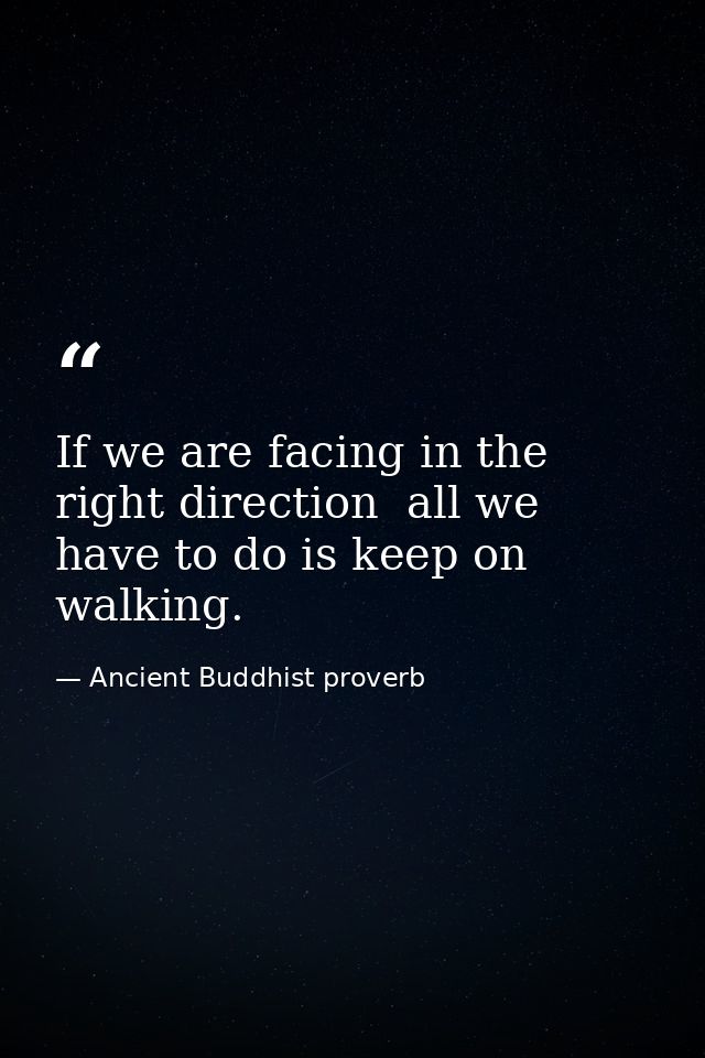 If we are facing in the right direction  all we have to do is keep on walking. — Ancient Buddhist proverb