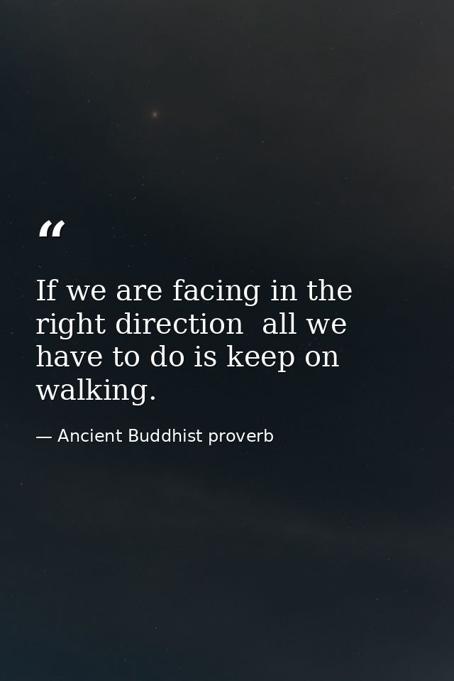 If we are facing in the right direction  all we have to do is keep on walking. — Ancient Buddhist proverb