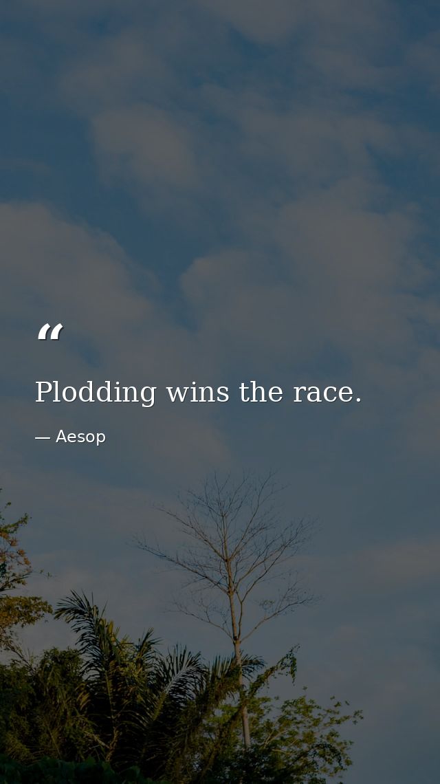 Plodding wins the race. — Aesop
