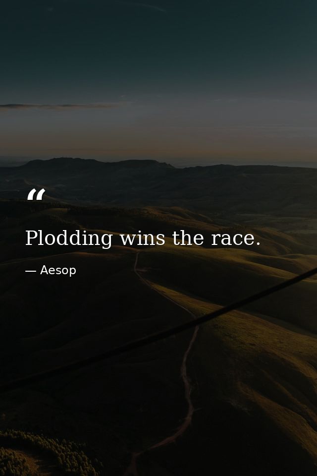 Plodding wins the race. — Aesop