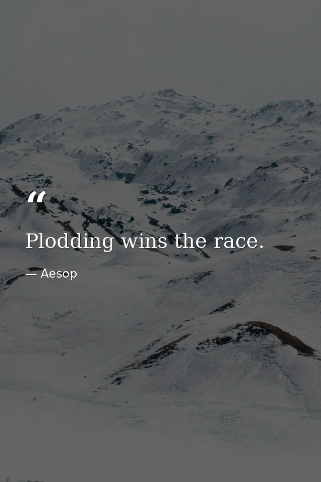 Plodding wins the race. — Aesop