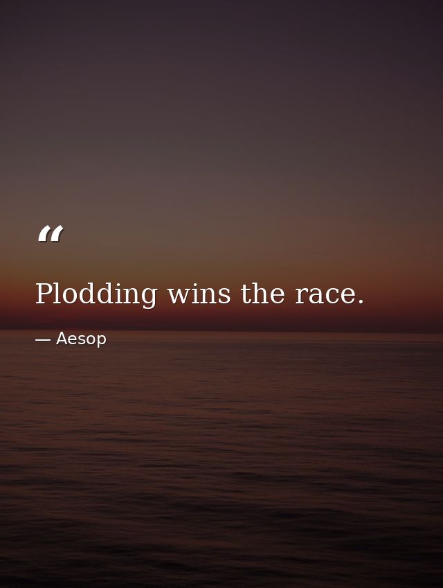 Plodding wins the race. — Aesop