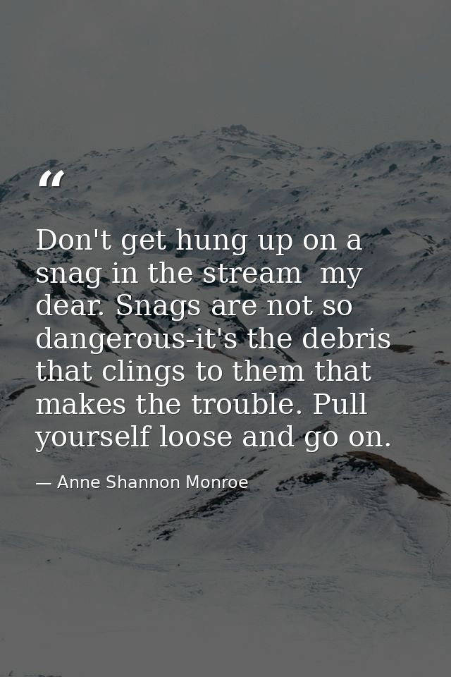 Don't get hung up on a snag in the stream  my dear. Snags are not so dangerous-it's the debris that clings to them that  — Anne Shannon Monroe