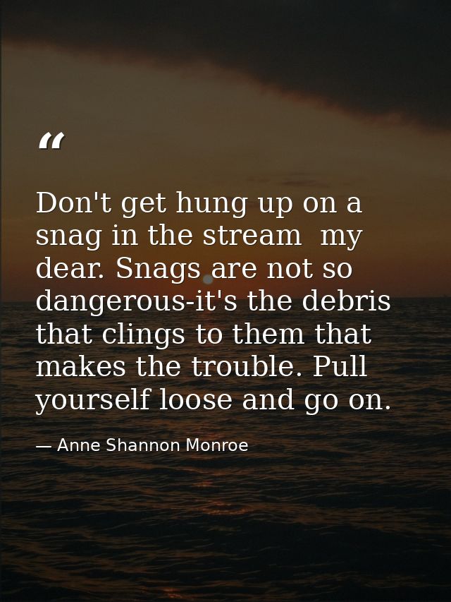 Don't get hung up on a snag in the stream  my dear. Snags are not so dangerous-it's the debris that clings to them that  — Anne Shannon Monroe