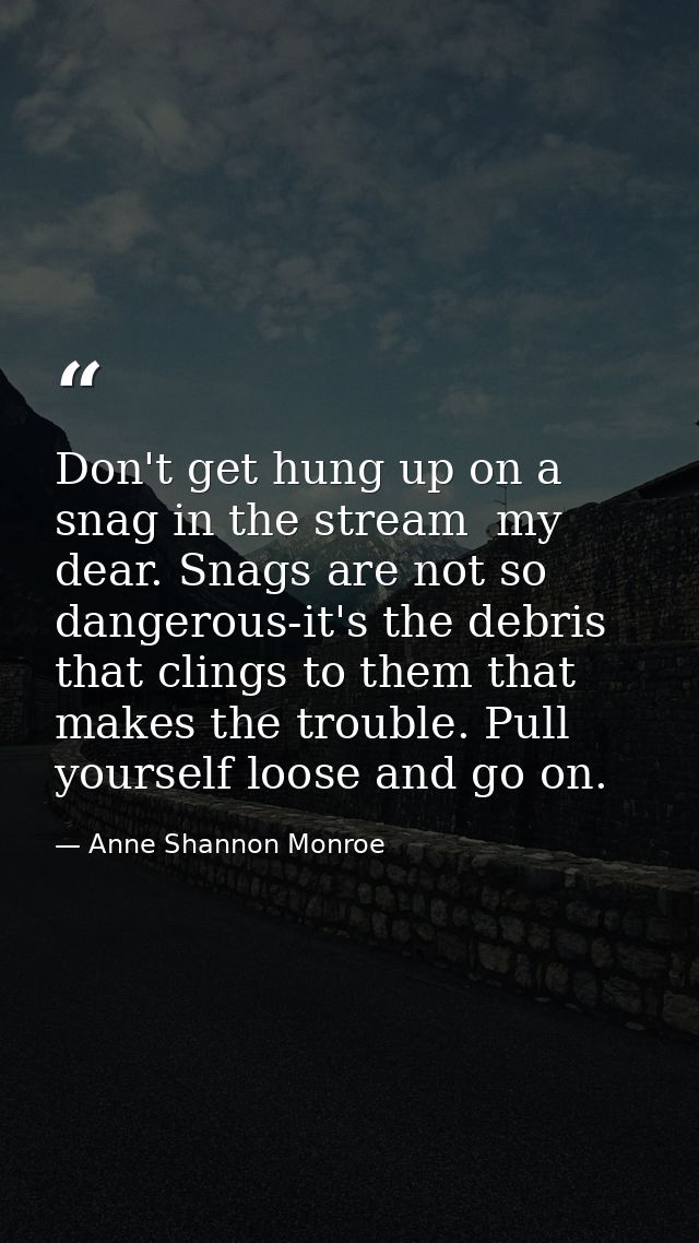 Don't get hung up on a snag in the stream  my dear. Snags are not so dangerous-it's the debris that clings to them that  — Anne Shannon Monroe