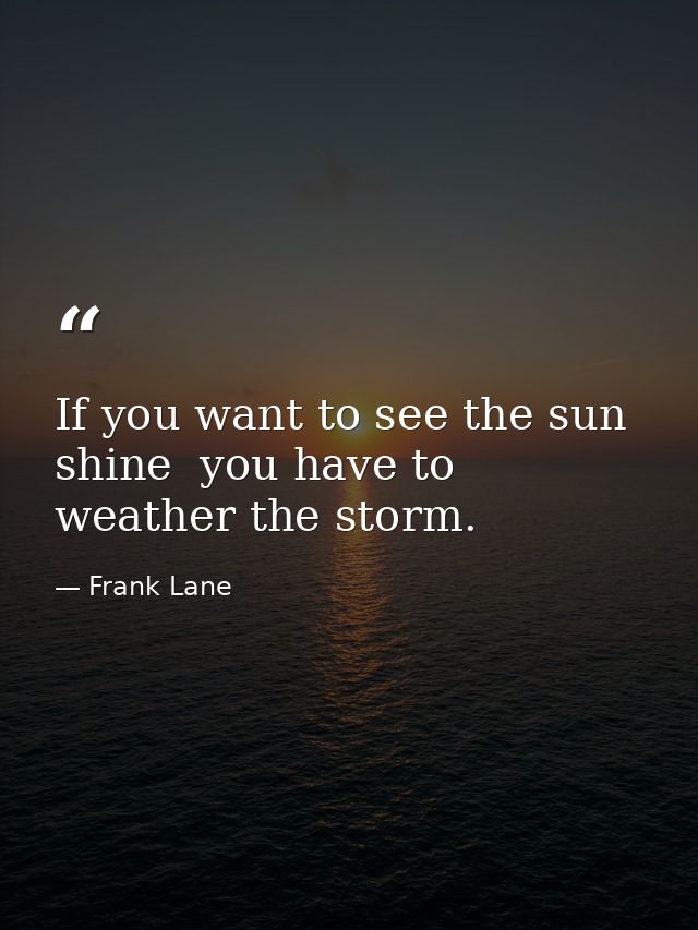 If you want to see the sun shine  you have to weather the storm. — Frank Lane