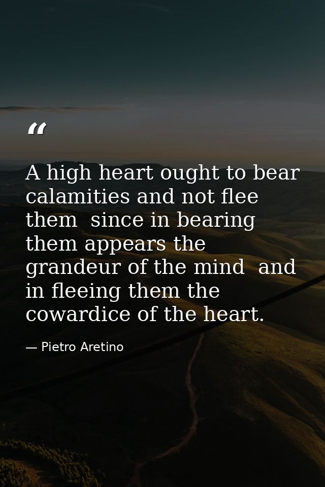 A high heart ought to bear calamities and not flee them  since in bearing them appears the grandeur of the mind  and in  — Pietro Aretino