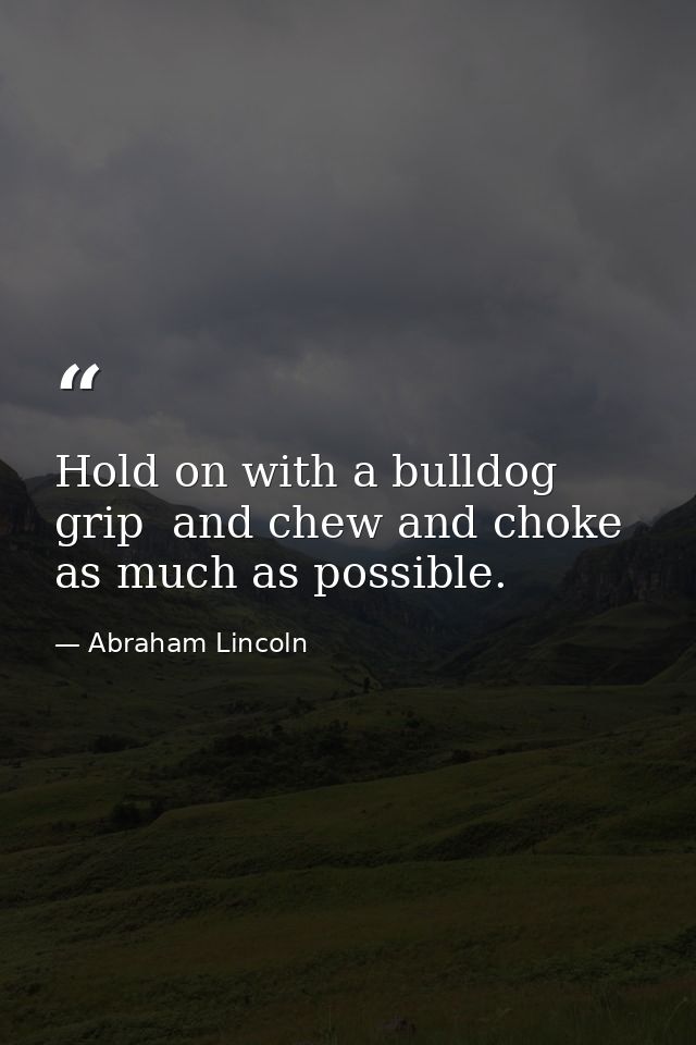 Hold on with a bulldog grip  and chew and choke as much as possible. — Abraham Lincoln