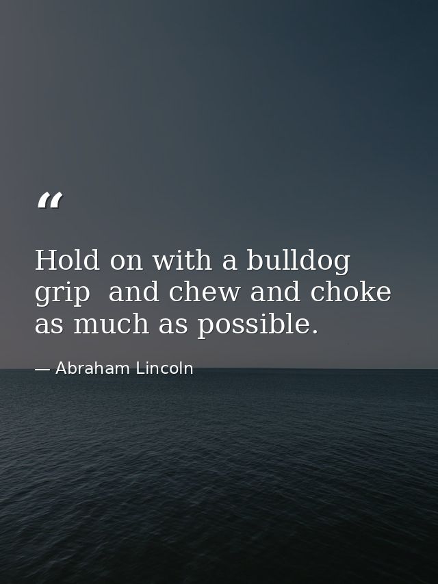 Hold on with a bulldog grip  and chew and choke as much as possible. — Abraham Lincoln