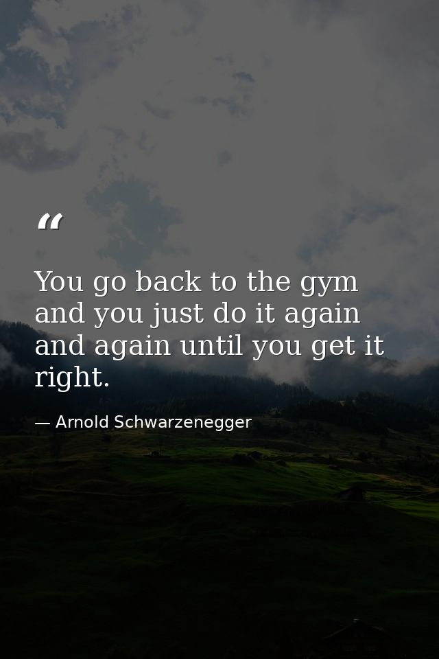 You go back to the gym and you just do it again and again until you get it right. — Arnold Schwarzenegger