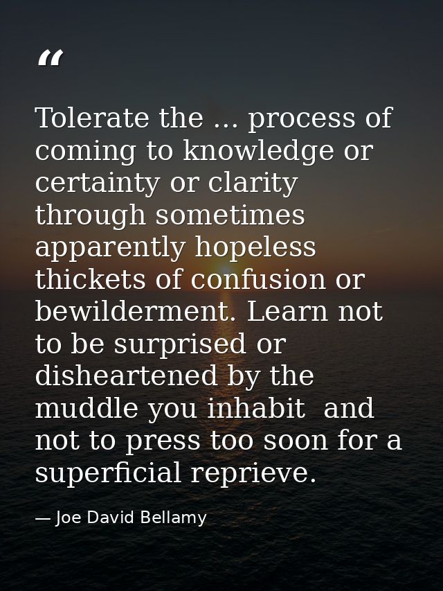 Tolerate the ... process of coming to knowledge or certainty or clarity through sometimes apparently hopeless thickets o — Joe David Bellamy