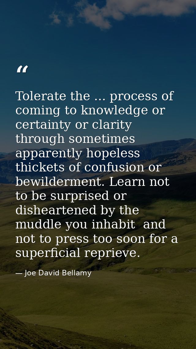 Tolerate the ... process of coming to knowledge or certainty or clarity through sometimes apparently hopeless thickets o — Joe David Bellamy