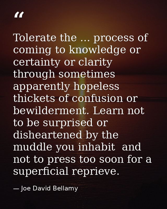 Tolerate the ... process of coming to knowledge or certainty or clarity through sometimes apparently hopeless thickets o — Joe David Bellamy