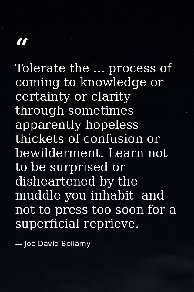 Tolerate the ... process of coming to knowledge or certainty or clarity through sometimes apparently hopeless thickets o — Joe David Bellamy