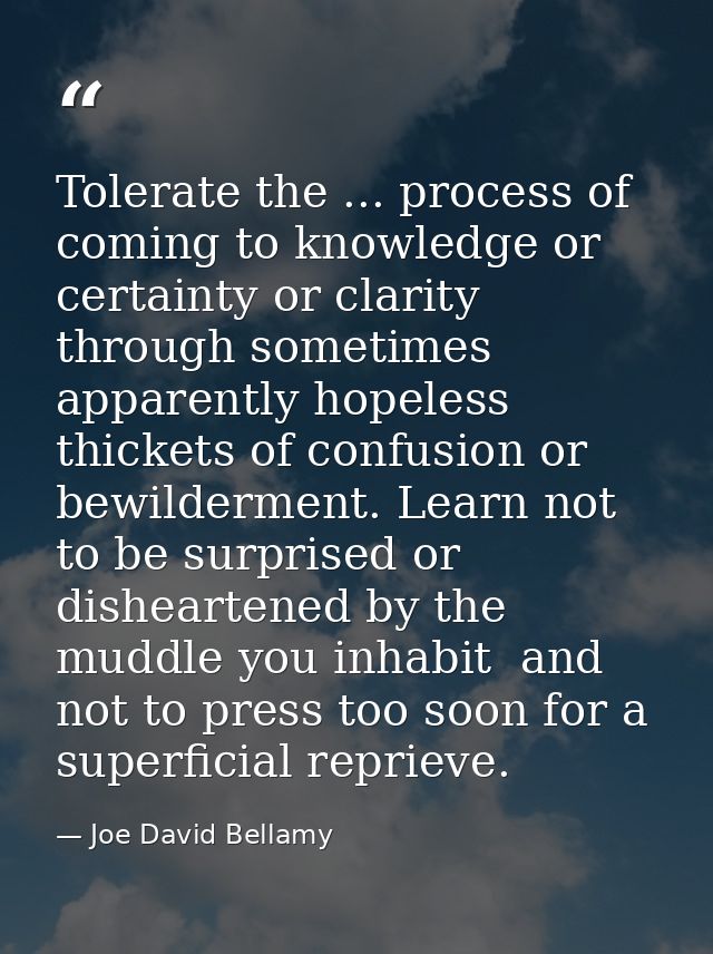 Tolerate the ... process of coming to knowledge or certainty or clarity through sometimes apparently hopeless thickets o — Joe David Bellamy