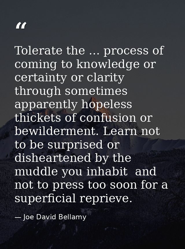Tolerate the ... process of coming to knowledge or certainty or clarity through sometimes apparently hopeless thickets o — Joe David Bellamy