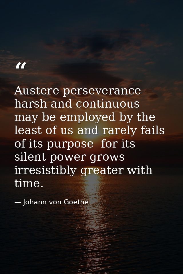 Austere perseverance  harsh and continuous  may be employed by the least of us and rarely fails of its purpose  for its  — Johann von Goethe