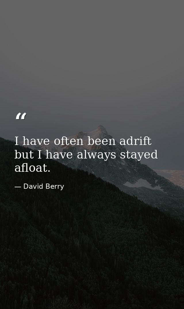 I have often been adrift  but I have always stayed afloat. — David Berry