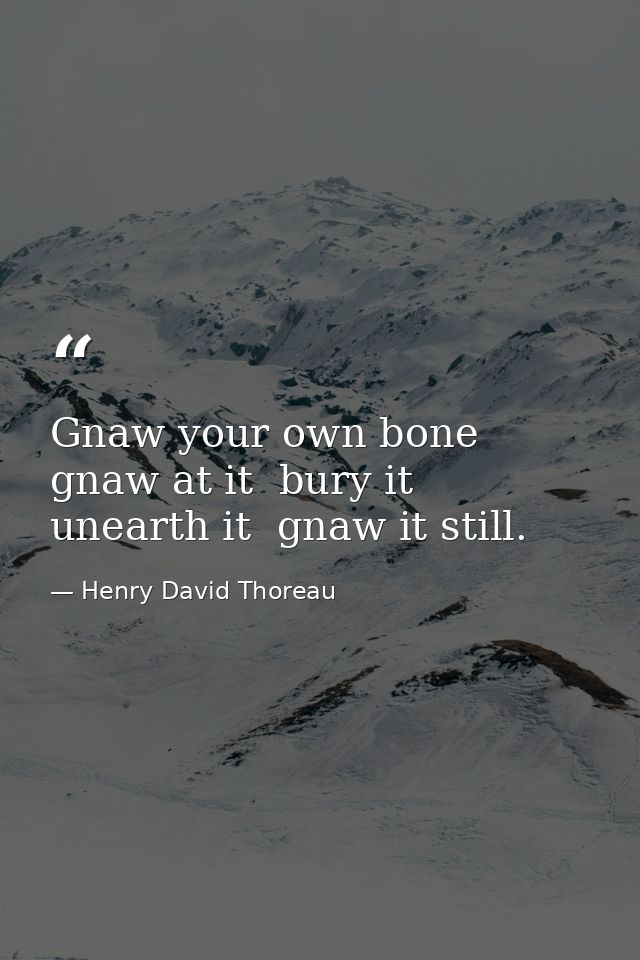 Gnaw your own bone  gnaw at it  bury it  unearth it  gnaw it still. — Henry David Thoreau